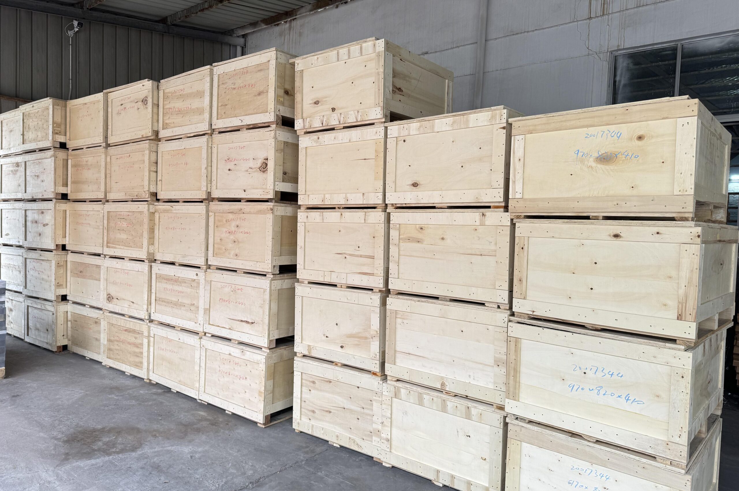 DM_20260113090005_008